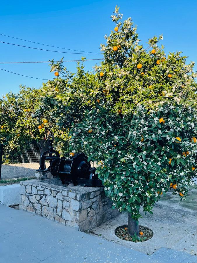 Citrus Garden Villa Epidaurus Exteriör bild
