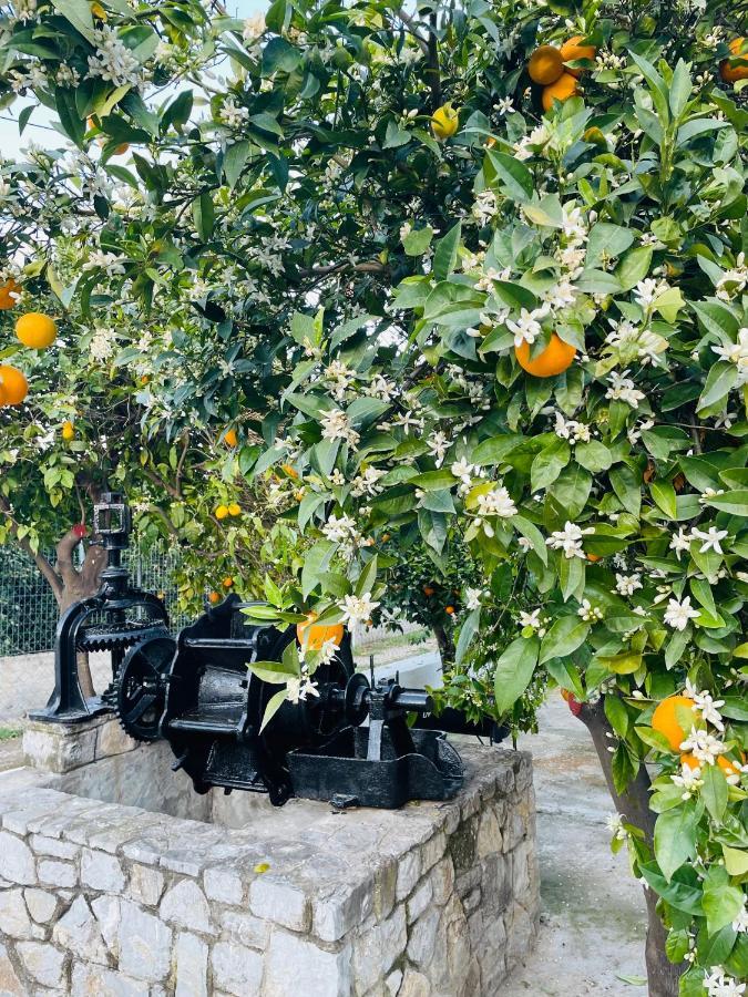 Citrus Garden Villa Epidaurus Exteriör bild