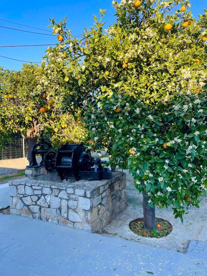 Citrus Garden Villa Epidaurus Exteriör bild