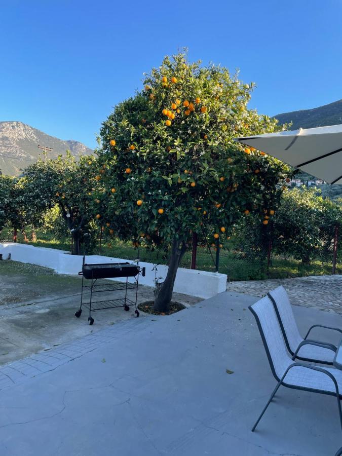 Citrus Garden Villa Epidaurus Exteriör bild