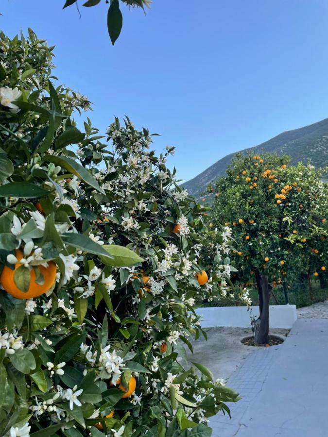 Citrus Garden Villa Epidaurus Exteriör bild
