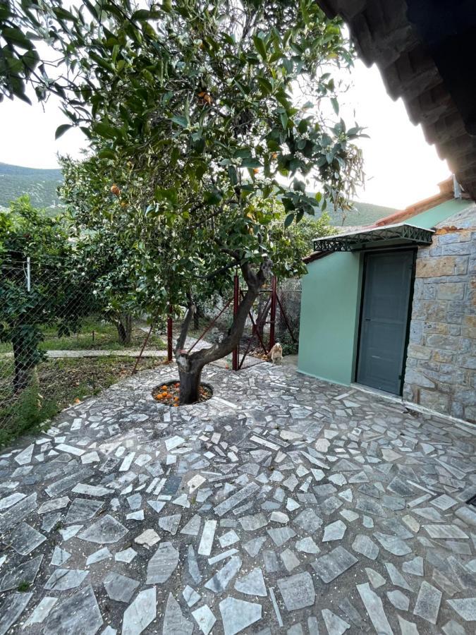 Citrus Garden Villa Epidaurus Exteriör bild