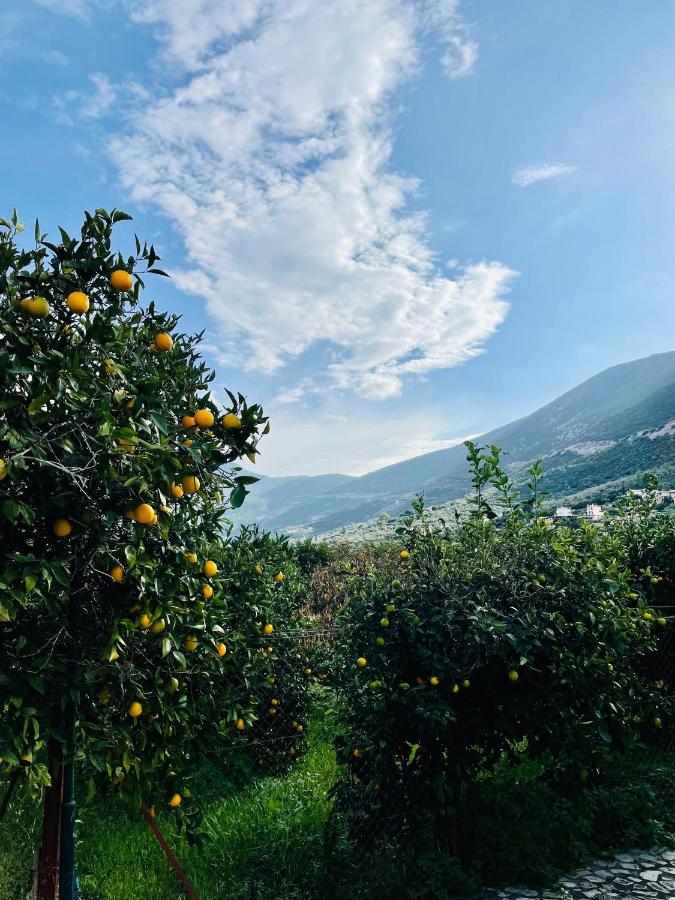 Citrus Garden Villa Epidaurus Exteriör bild